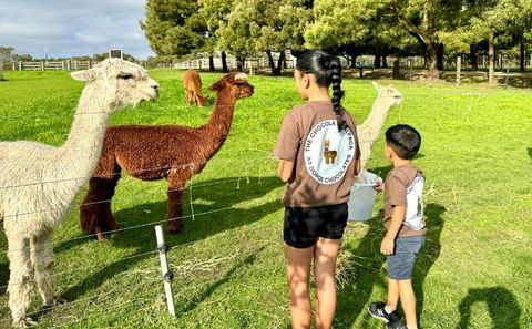 GORGE Chocolates Farmhouse - Taree Accommodation 4