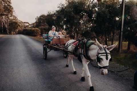 Gums N Roses By Tiny Away - Taree Accommodation 2