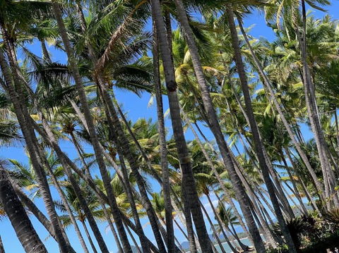 IMPORTANT MESSAGE This Property Is Not Currently Available For Holiday Letting - Taree Accommodation 1