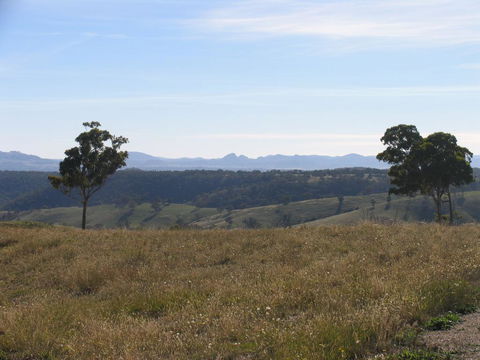 Almas Cottage - Taree Accommodation 2