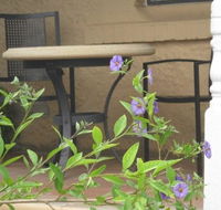 Amalie Cottage Waikerie - Taree Accommodation