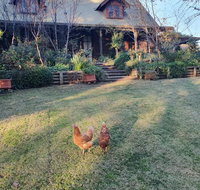 Angaston by the Winter Creek - Taree Accommodation