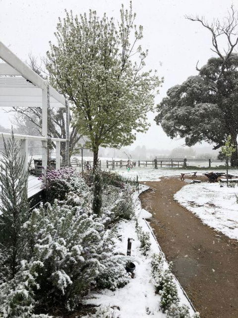 Luxury Accomodation, Farm Stay, Stunning Views Near Daylesford - Taree Accommodation 1