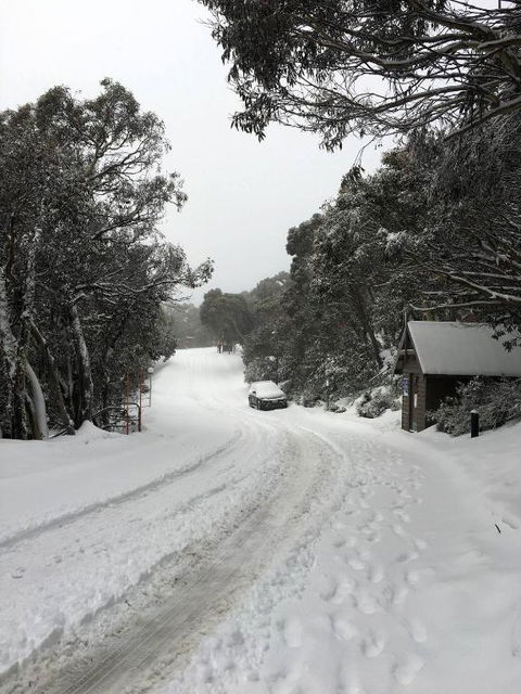 MAGNIFICENT SKIING ON MOUNT BULLER - Taree Accommodation 3