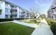 Melville Oasis - thumb 0