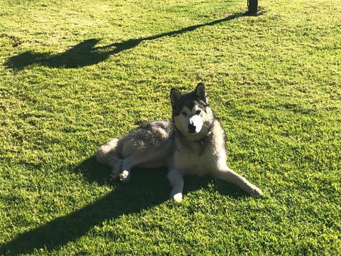 Mountain Culture Farm Stay - Pet Friendly - Taree Accommodation 3