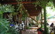 Mundaring Weir Hotel - thumb 2