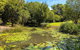 Nature Retreat Family Haven - thumb 1