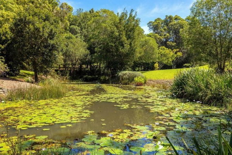 Nature Retreat Family Haven - Taree Accommodation 1