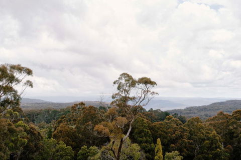 Osborn House - Taree Accommodation 1