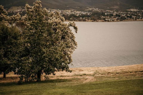 Otago Cottage - Taree Accommodation 3