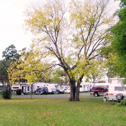 Poplar Tourist Park - Taree Accommodation 2