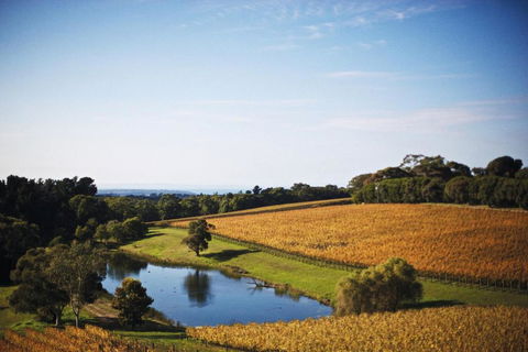 Port Phillip Estate - Taree Accommodation 2