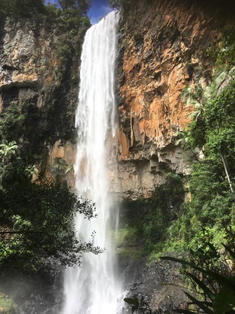 Purling Brook Falls Gwongorella - Taree Accommodation 1
