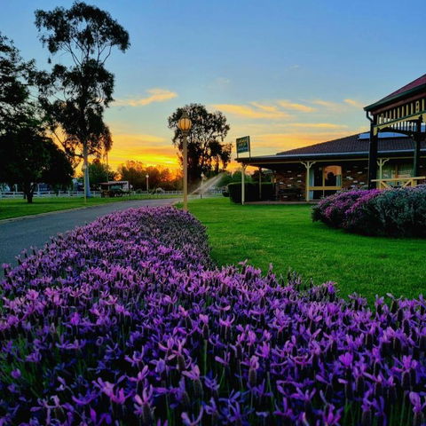 Quality Inn Carriage House - Taree Accommodation 1