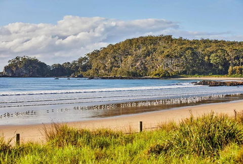 Rare Broulee Beachfront House - Taree Accommodation 3