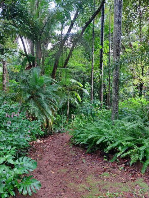 Rainforest Retreat-Fireplace-BBQ-3 Acres- - Taree Accommodation 0