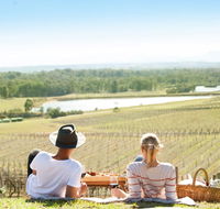 Audrey Wilkinson Vineyard - Taree Accommodation
