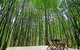 Azabu Boutique Accommodation - thumb 1