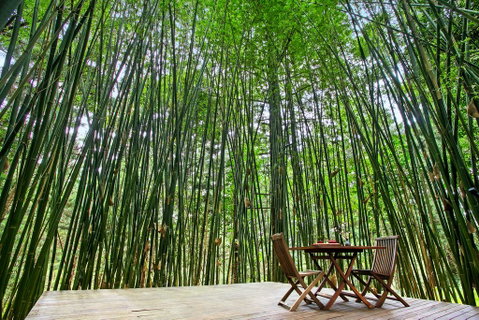 Azabu Boutique Accommodation - Taree Accommodation 1
