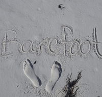 Barefoot Beach House - Taree Accommodation