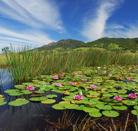 Barrington Hideaway- River Cottages - Taree Accommodation