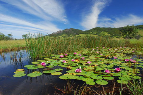 Barrington Hideaway- River Cottages - Taree Accommodation 0