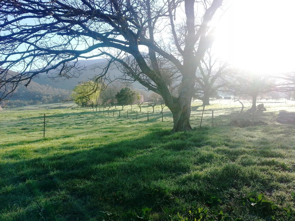 Dederang VIC Taree Accommodation