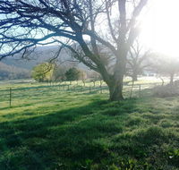 Bay Creek Guest House - Taree Accommodation