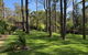 Beachgum - thumb 0
