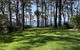 Beachgum - thumb 1