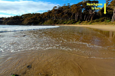 Beachgum - Taree Accommodation 2