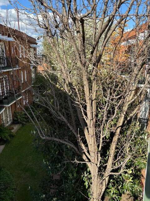 Regents Gate East Melbourne - Taree Accommodation 1