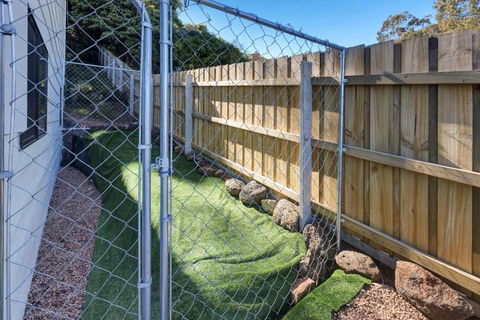 Robin Wood - Taree Accommodation 2