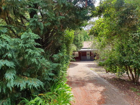 Rustic Queen Of Leura - Taree Accommodation 0