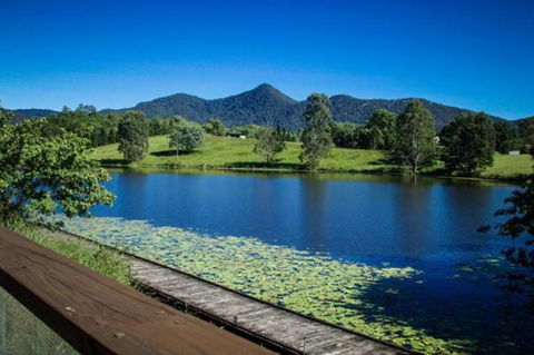 Samford Lakes - Taree Accommodation 3