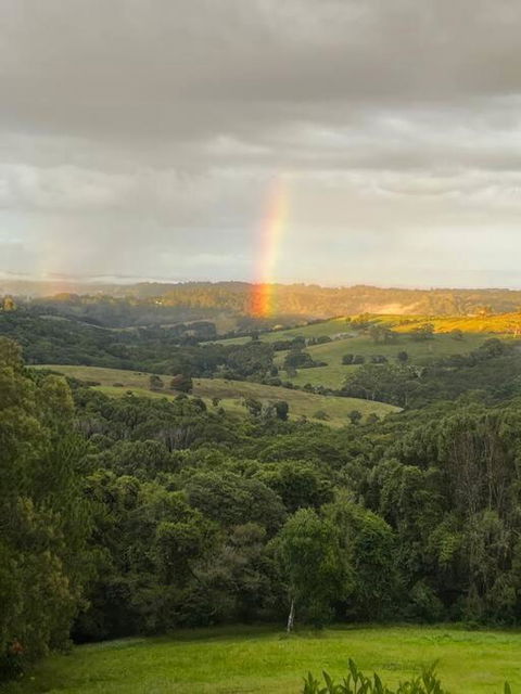 Sanctuary In Luscious Green Hills Of Coorabell - Taree Accommodation 2