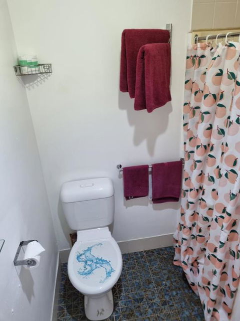 Taree Lodge Motel - Taree Accommodation 1