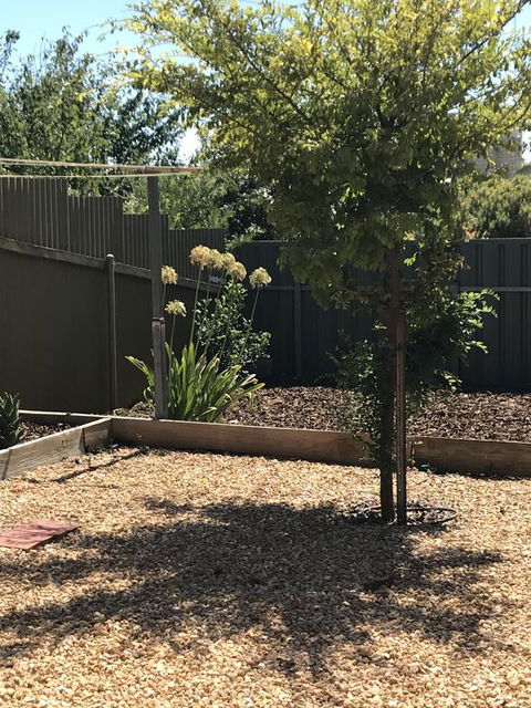 Beatty Cottage - Taree Accommodation 2