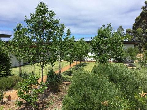 Bed + Bauhaus - Taree Accommodation 3