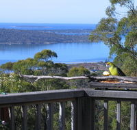 Bed in the Treetops BB - Taree Accommodation
