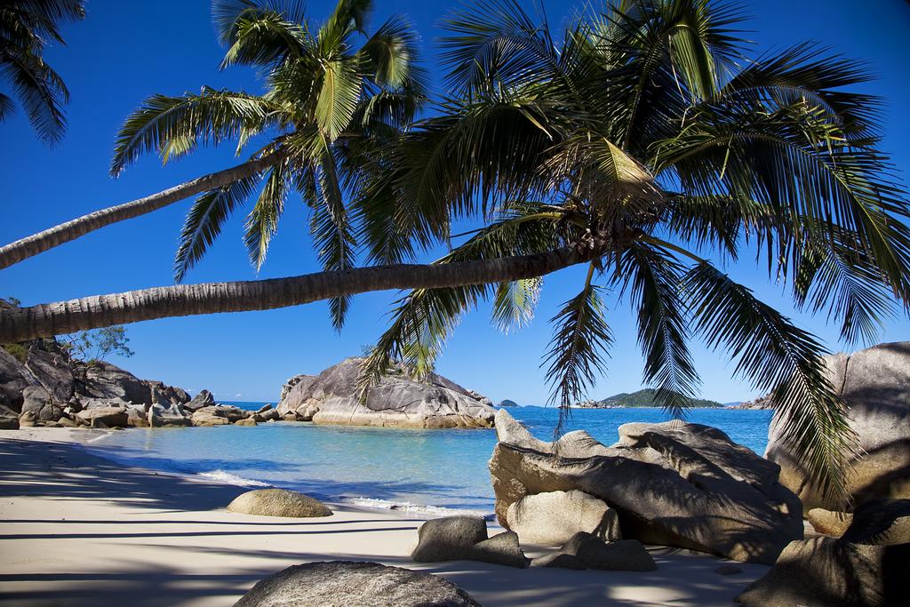 Dunk QLD Taree Accommodation