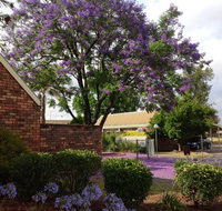 Belvoir Village Motel  Apartments Wodonga - Taree Accommodation