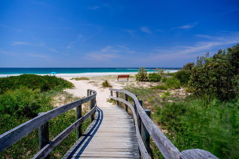 BIG4 Happy Hallidays - Taree Accommodation 2