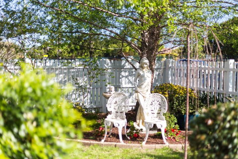 BIRCHES B&B - Taree Accommodation 2