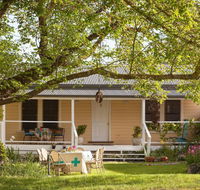 Bird House - Taree Accommodation