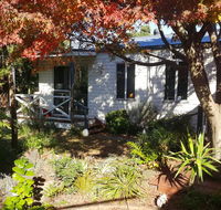 Bird N Branch - Taree Accommodation
