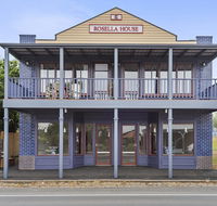 Blue Rosella On Piper - Taree Accommodation