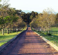 Blueberry Hill Vineyard Villa - Taree Accommodation