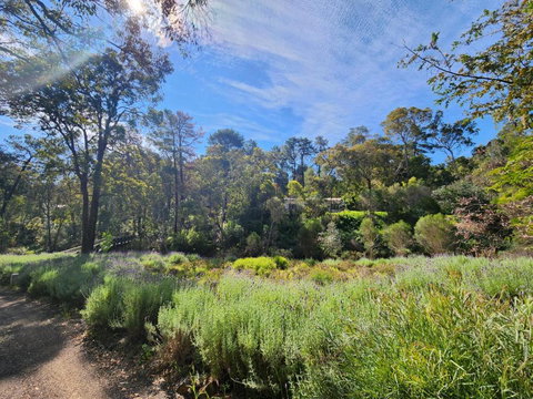 The Lavender Patch - Taree Accommodation 2